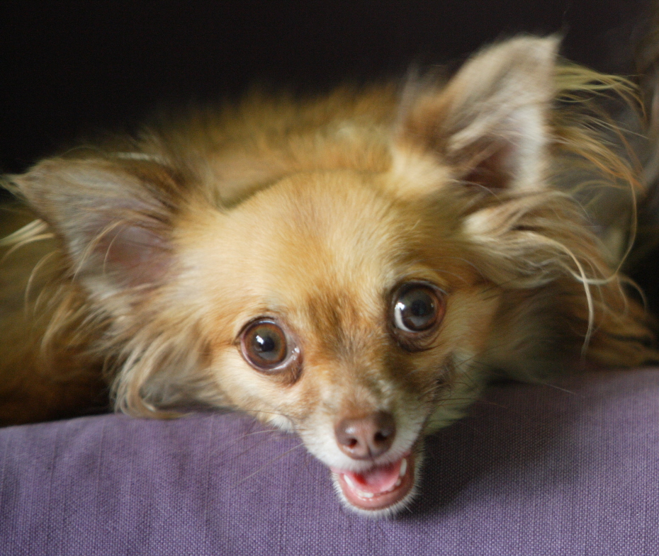 Photo courtesy of Jonathan Drake